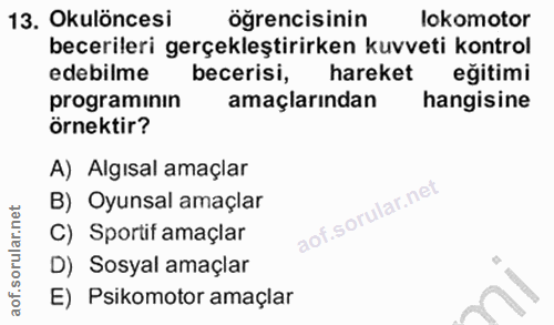 Soru 13