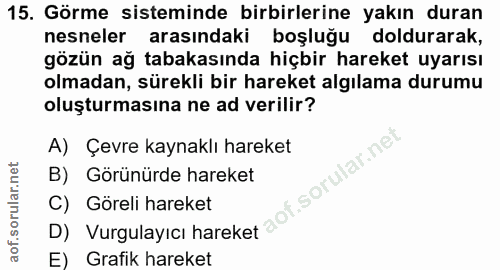 Soru 15
