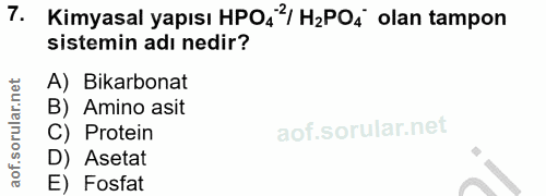 Soru 7