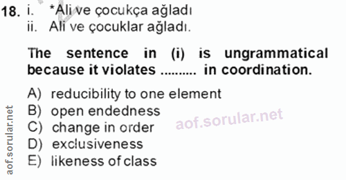 Soru 18