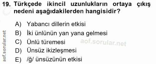 Soru 19