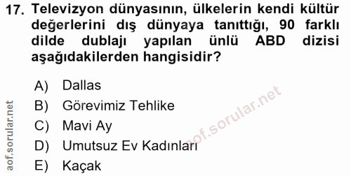 Soru 17