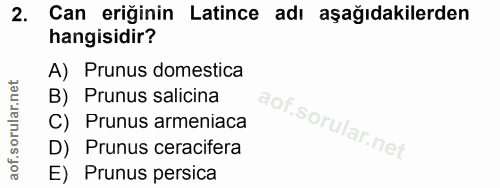 Soru 2