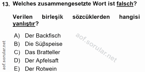 Soru 13