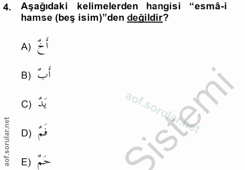 Soru 4