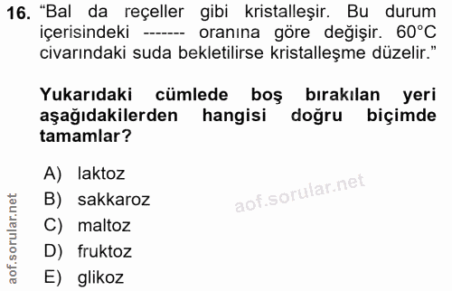 Soru 16