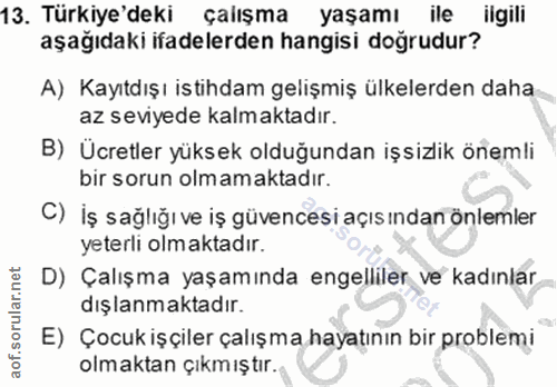 Soru 13