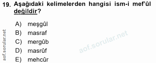 Soru 19