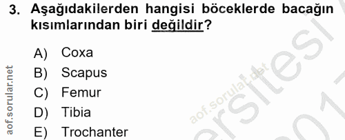 Soru 3