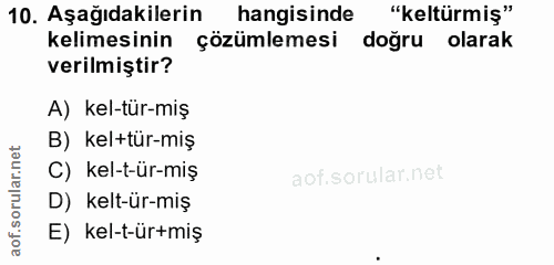 Soru 10