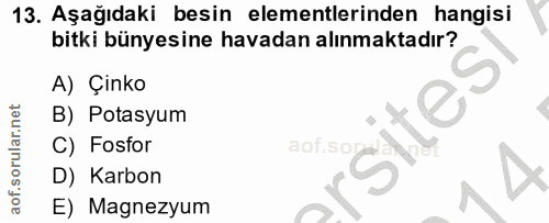 Soru 13