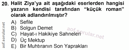 Soru 20