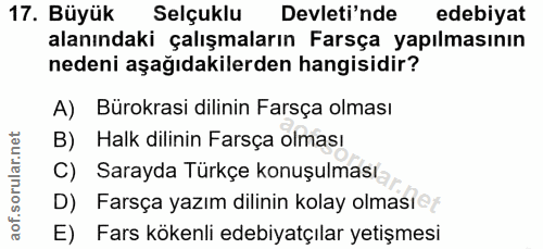 Soru 17