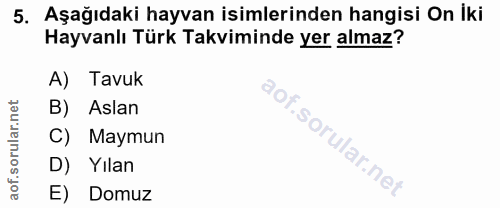 Soru 5