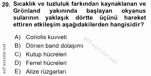 Soru 20