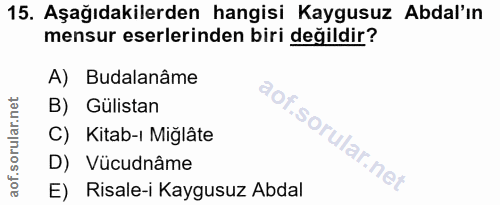 Soru 15