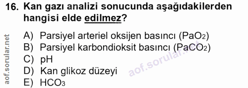 Soru 16