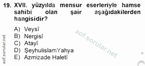 Soru 19