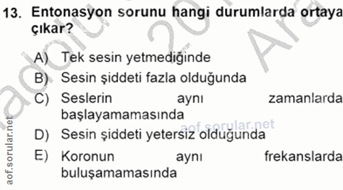 Soru 13