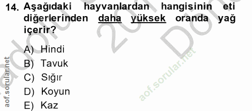 Soru 14