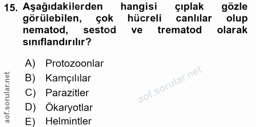 Soru 15