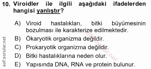 Soru 10