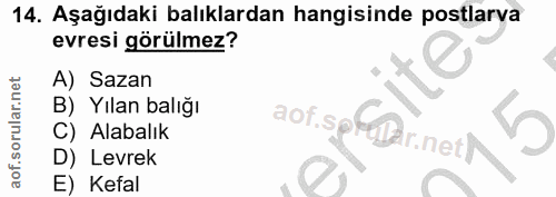 Soru 14