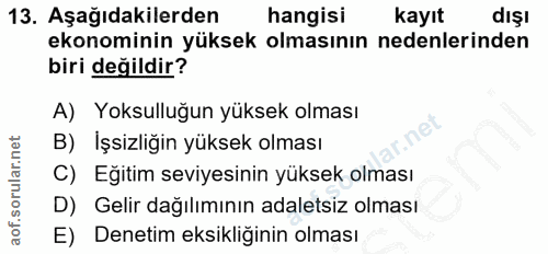 Soru 13