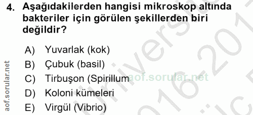 Soru 4