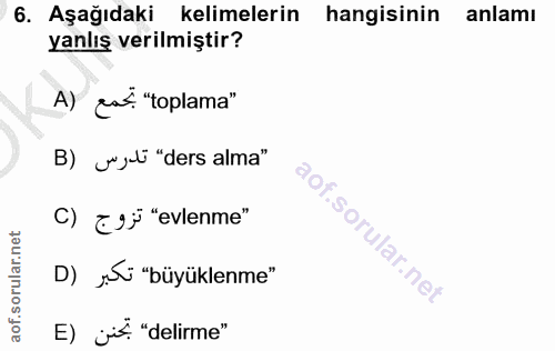 Soru 6