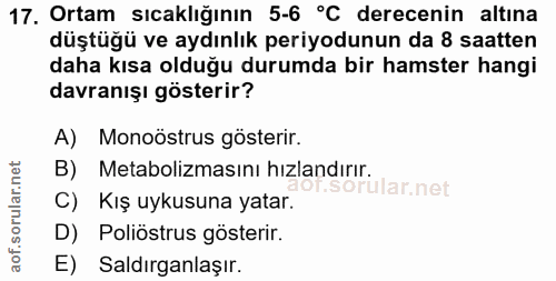 Soru 17