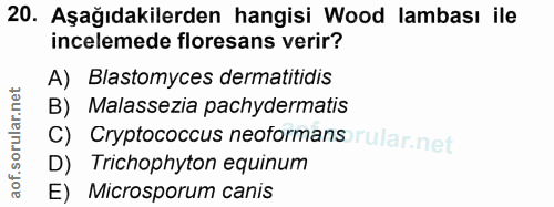 Soru 20