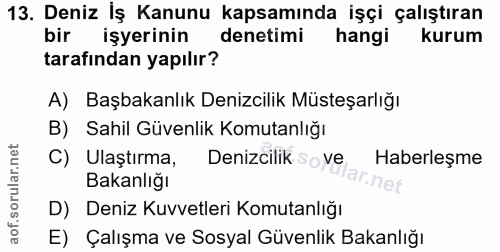 Soru 13