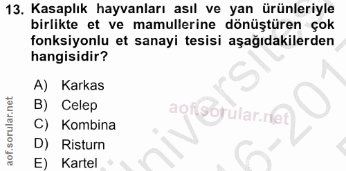 Soru 13