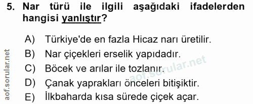 Soru 5