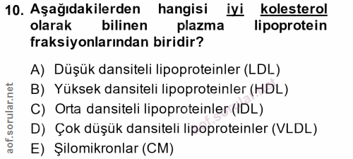 Soru 10