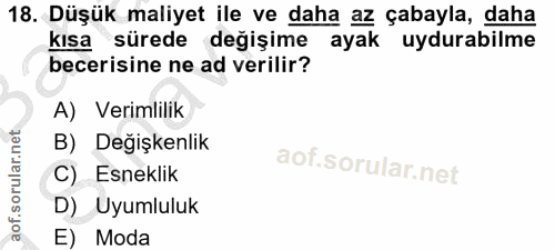 Soru 18