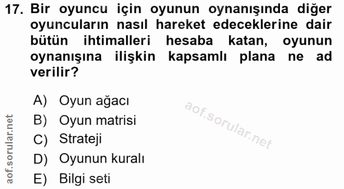 Soru 17