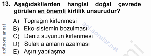 Soru 13