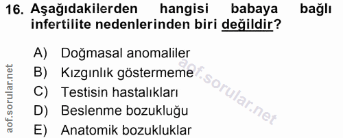 Soru 16