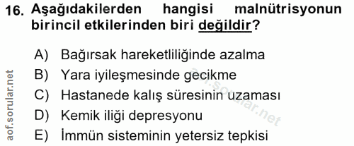 Soru 16