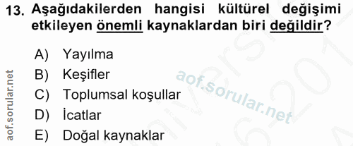 Soru 13
