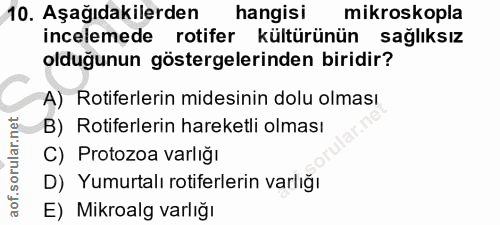 Soru 10