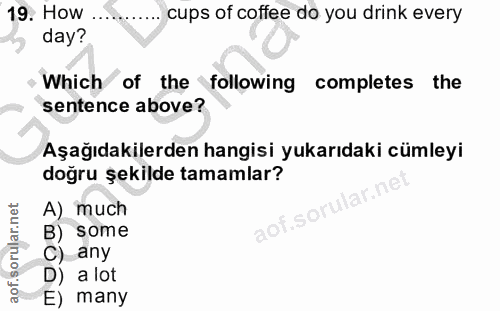 Soru 19