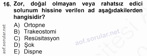 Soru 16