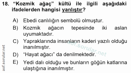 Soru 18