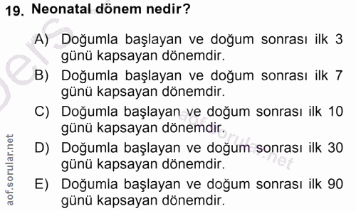Soru 19