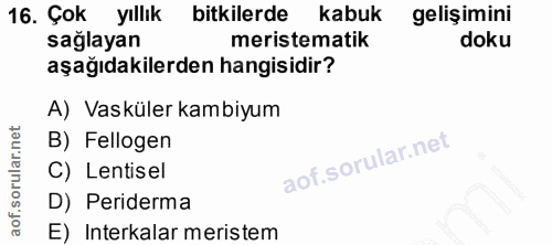 Soru 16