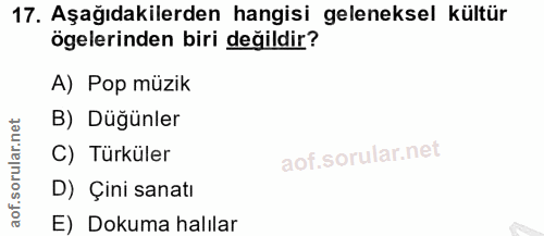 Soru 17