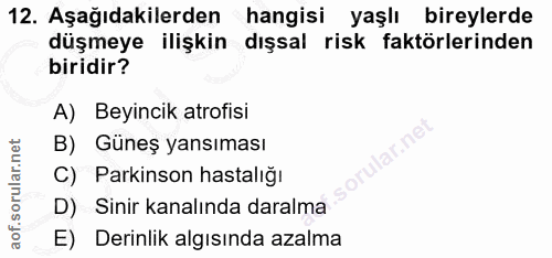 Soru 12